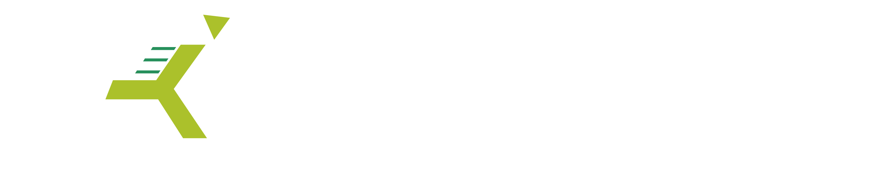logo light